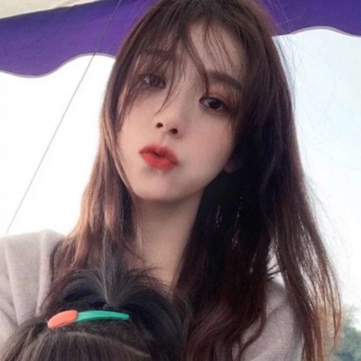 宠物小精灵xy游戏下载