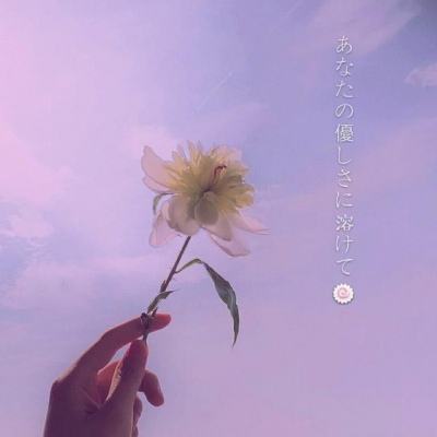韦诺之战中文版下载