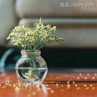 百度蜀山萌仙录手游下载